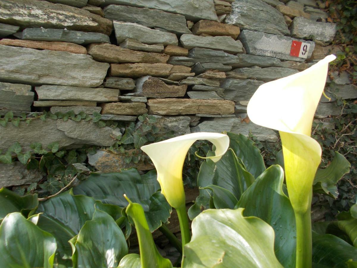 Cyclades Olive Museum'S Guest House Pitrofos Экстерьер фото
